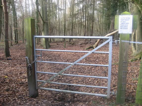 Gate from yard to woods